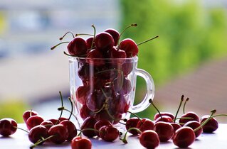 Produits de consommation : guide complet pour choisir les meilleurs articles du quotidien