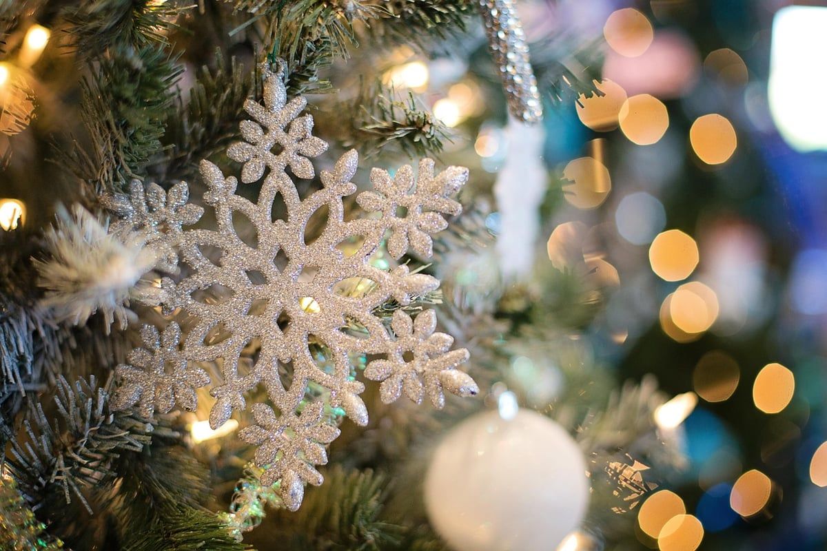 Le CE Disney propose-t-il un arbre de Noël en 2025 ?