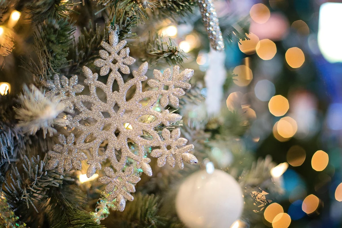 Le CE Disney propose-t-il un arbre de Noël en 2025 ?