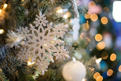 Le CE Disney propose-t-il un arbre de Noël en 2025 ?