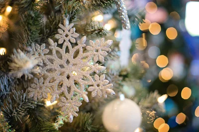 Le CE Disney propose-t-il un arbre de Noël en 2025 ?