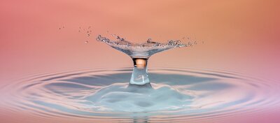 Entreprises à impact : comment allier rentabilité et responsabilité sociale