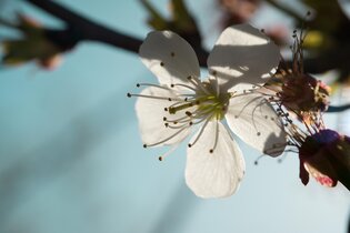 Création d’entreprise : les étapes essentielles pour réussir votre projet