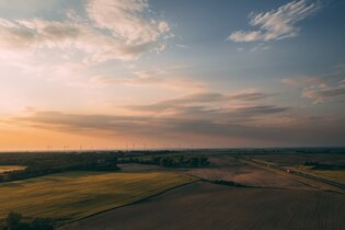 Pratiques de durabilité : Comment intégrer des solutions écologiques dans votre quotidien
