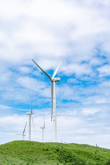 Développement durable : les clés pour une transition écologique réussie
