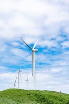 Développement durable : les clés pour une transition écologique réussie