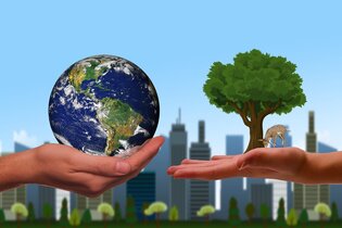 Comprendre la durabilité : enjeux et solutions pour un avenir responsable