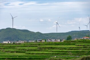La viabilité des projets durables : enjeux et perspectives