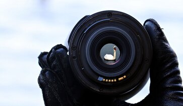 Retargeting : Augmentez vos conversions grâce à des stratégies ciblées