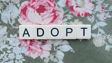 Adoption technologique : Comprendre les enjeux et les bénéfices pour les entreprises