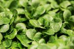 découvrez les stratégies d'organic growth qui permettent aux entreprises de croître durablement en optimisant leurs ressources et en renforçant leur position sur le marché. apprenez à tirer parti de la satisfaction client et de l'innovation pour stimuler votre croissance sans recourir aux investissements financiers massifs.