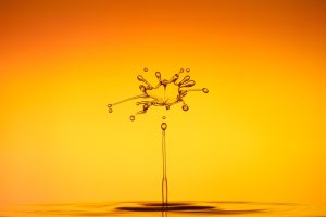 découvrez comment les changements sociaux et environnementaux influencent notre société, en explorant les enjeux et les implications du 'societal impact'.