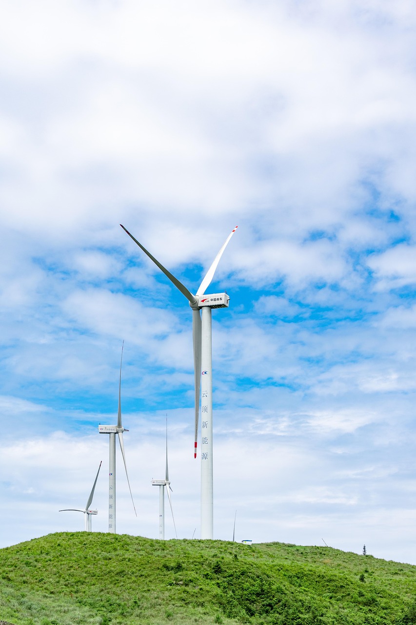 découvrez les principes du développement durable, un modèle d'évolution qui allie croissance économique, protection de l'environnement et équité sociale. apprenez comment adopter des pratiques durables dans votre quotidien afin de préserver notre planète pour les générations futures.
