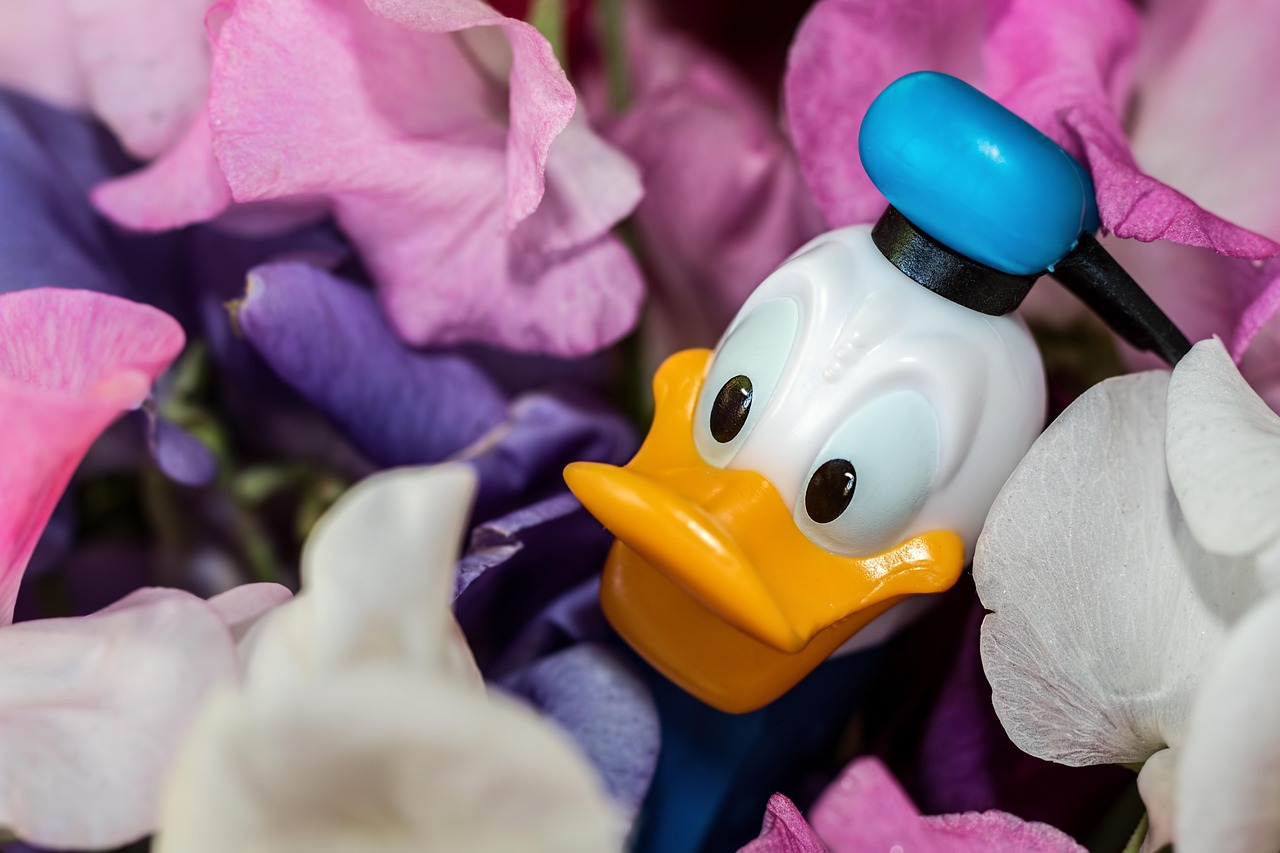 découvrez tous les avantages disney : réductions exclusives, accès anticipé à des événements, cadeaux, séjours magiques et bien plus encore pour profiter pleinement de l’univers disney !