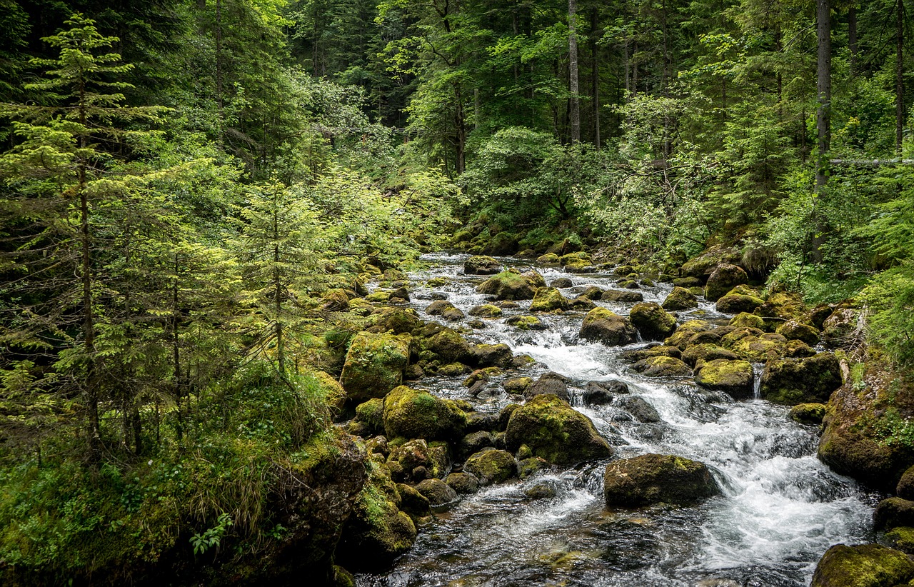 découvrez l'origine des paiements et comprenez leur provenance pour sécuriser vos transactions financières en toute confiance.