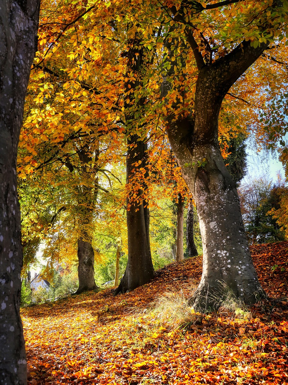 d&eacute;couvrez la pente id&eacute;ale pour une rampe pi&eacute;tonne afin d'assurer s&eacute;curit&eacute; et confort lors des d&eacute;placements.