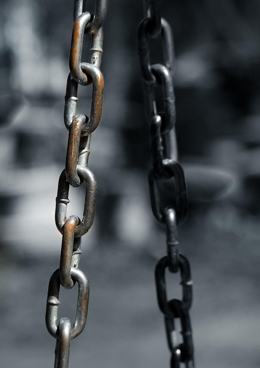 découvrez les compétences essentielles pour la réparation de téléphones en 2025 grâce à une formation complète et à jour, adaptée aux technologies actuelles.